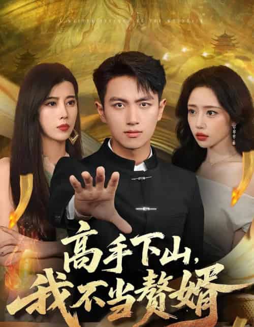 高手下山我不当赘婿（66集全）苏凝＆鲜嘉臣-初遇资源网