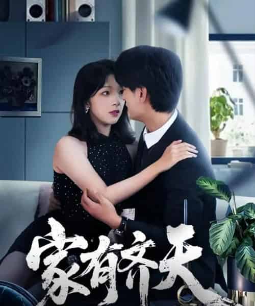 家有齐天（60集全）王国豪杰＆孙梦蝶＆曲美霖-初遇资源网