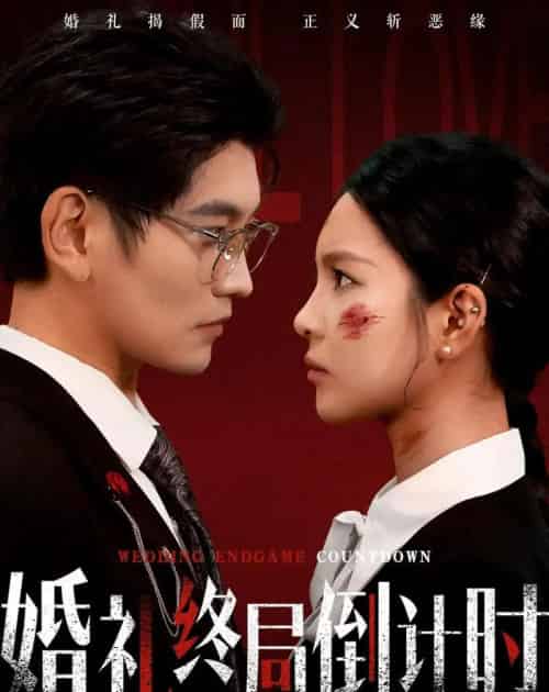 婚礼终局倒计时(60集全)宸天&余卓阳-初遇资源网