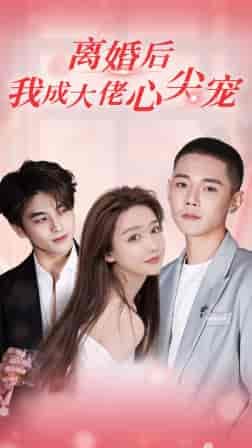离婚后,我成大佬心尖宠(95集)-初遇资源网