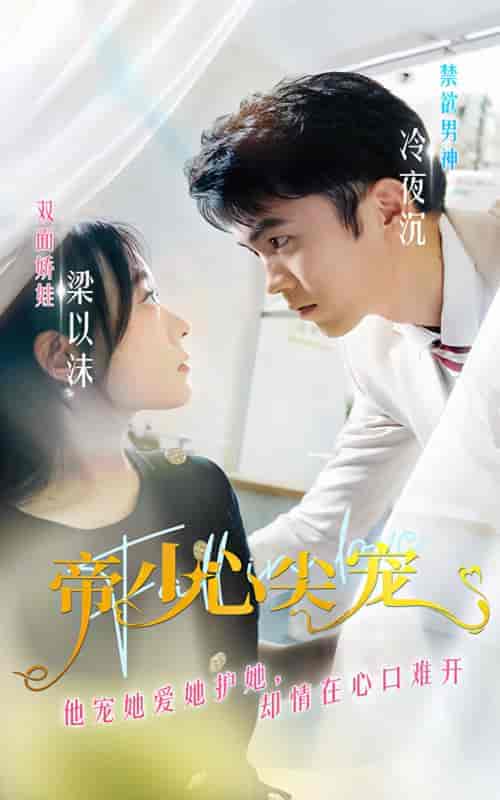帝少心尖宠(90集)-初遇资源网