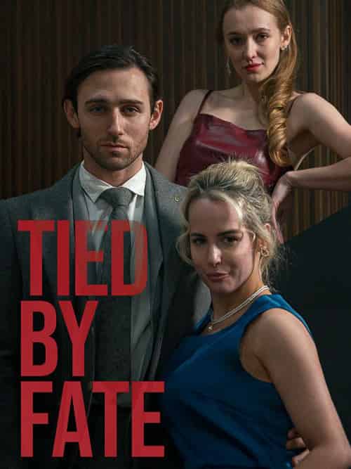 Tied By Fate(50集全)James&Mia-初遇资源网