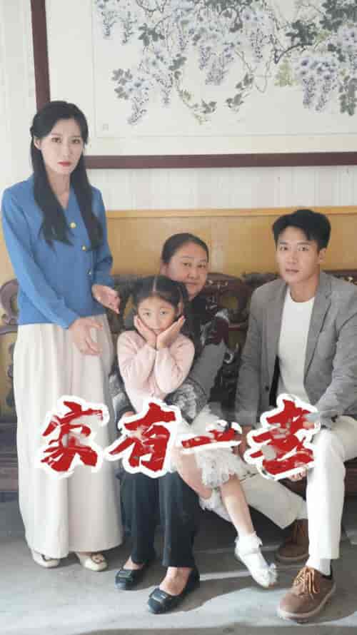 家有一老(32集全)-初遇资源网