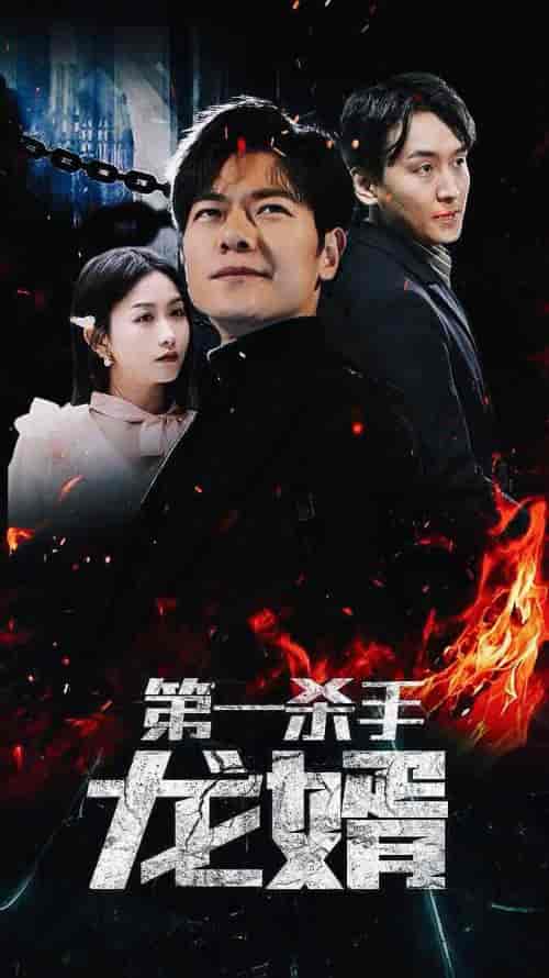 第一杀手龙婿（100集）-初遇资源网