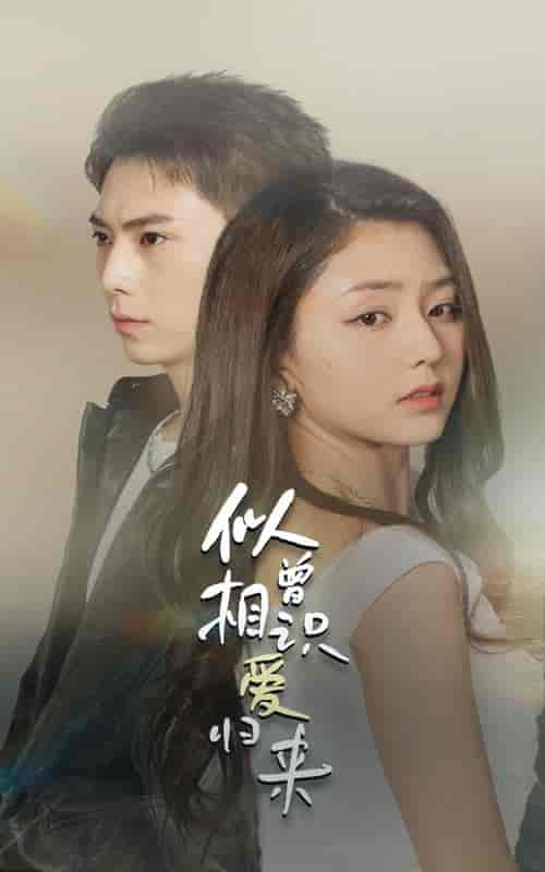 似曾相识爱归来(77集)-初遇资源网