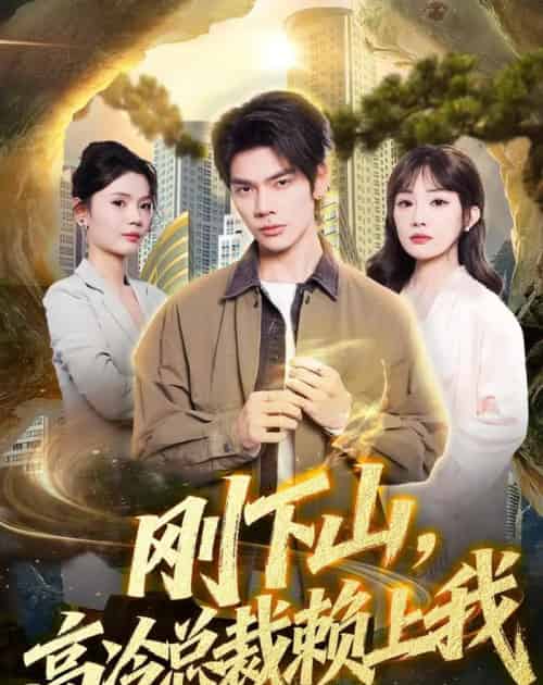 刚下山,高冷总裁赖上我(68集全)启航&梁馨&任佳仪-初遇资源网