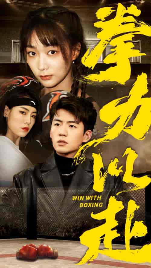 拳力以赴（80集）-初遇资源网