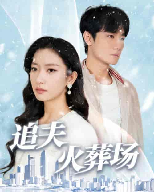 追夫火葬场（31集全）-初遇资源网