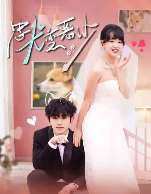 惊！我家来福变恶少了＆忠犬变恶少（80集全）曹竣柯＆赵影-初遇资源网