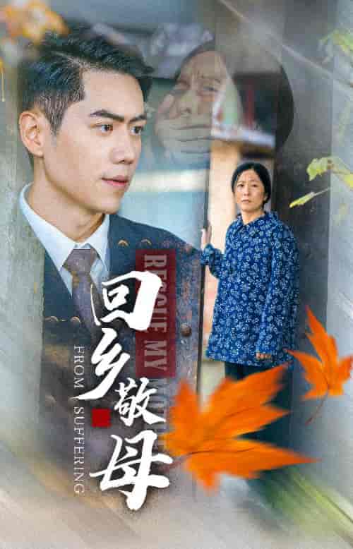 回乡敬母(43集全)-初遇资源网