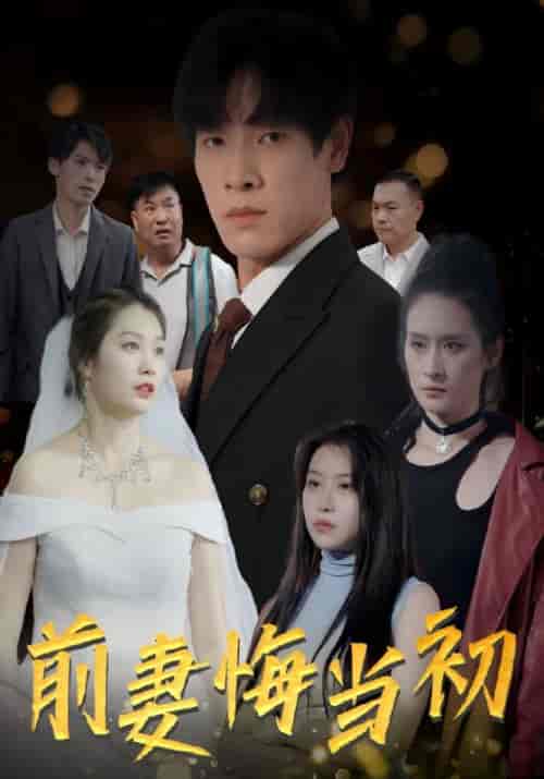 前妻悔当初（78集全）萧铭＆＆贺芷-初遇资源网