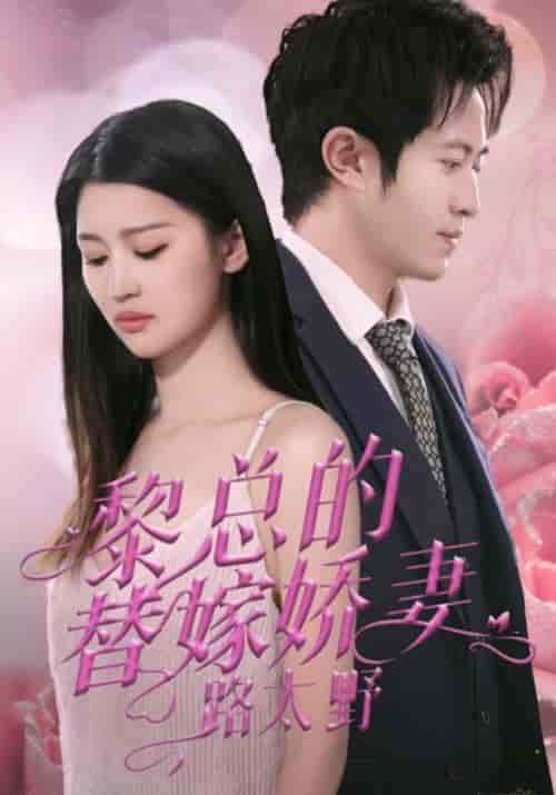 黎总的替嫁娇妻路太野(90集全)黎景夜&萧安悦-初遇资源网