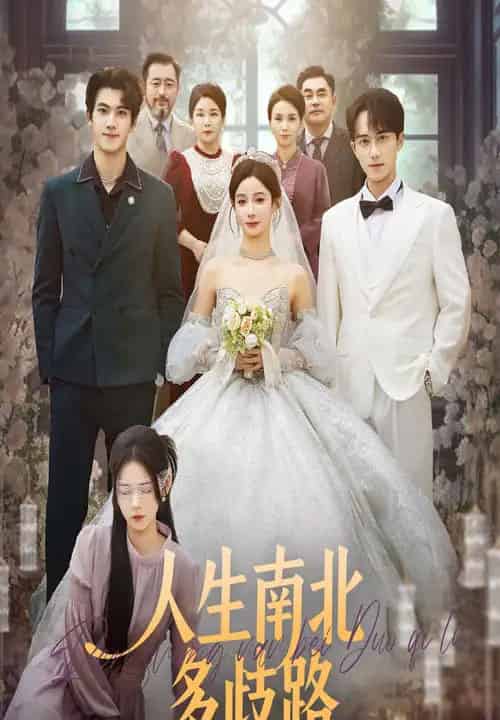 人生南北多歧路（45集全）谭心＆辛灏云-初遇资源网