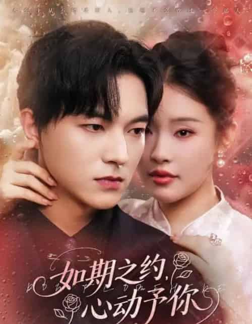 如期之约心动予你（82集全）权睿＆魏天浩-初遇资源网