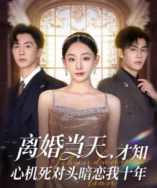 离婚当天才知心机死对头暗恋我十年(90集)鞠可儿&刘承林-初遇资源网