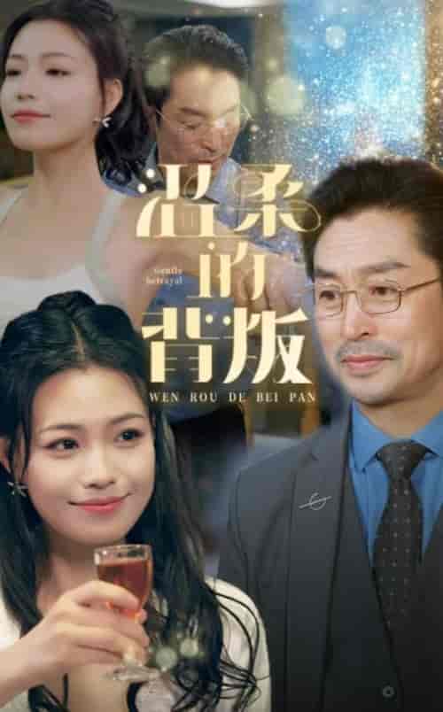 温柔的背叛（47集全）擦边剧-初遇资源网