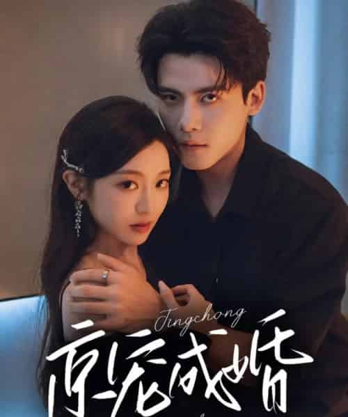 京宠成婚(79集)陈刚&陈辞-初遇资源网