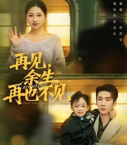 再见，余生再也不见＆再见余生再也不见（89集全）刘博洋＆崔秀子-初遇资源网
