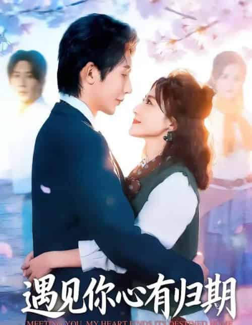 遇见你心有归期（81集全）桑岂＆闫聪-初遇资源网