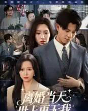 离婚当天世上再无我(60集全)董劭辉-初遇资源网