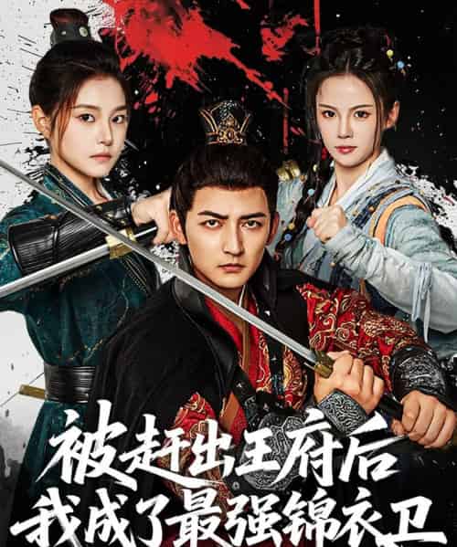 被赶出王府后我成了最强锦衣卫(80集)杜江山&一然-初遇资源网