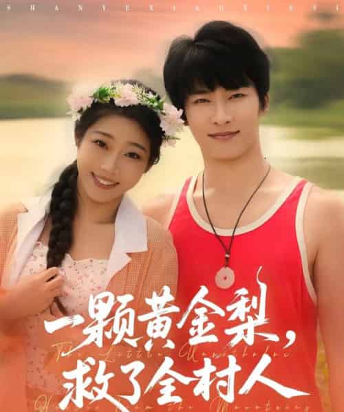 山野小邪医＆一颗黄金梨救了全村人（88集全）王泊渊＆齐惠昭-初遇资源网