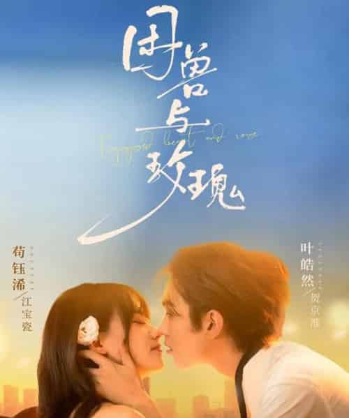 困兽与玫瑰(90集全)叶皓然&苟钰浠-初遇资源网