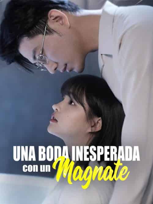 Una Boda Inesperada con un Magnate(80集全)Sofía&Ruiz&y&Daniel&García-初遇资源网