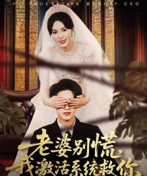 老婆别慌，我激活系统救你（80集全）孙航＆柯珂-初遇资源网