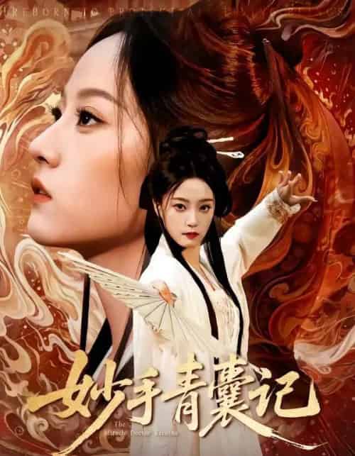 妙手青囊记(61集全)李铭&林动动-初遇资源网