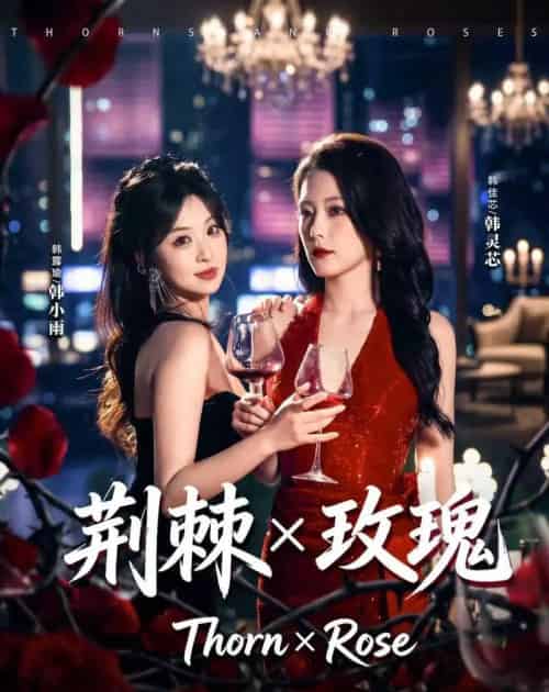荆棘X玫瑰(59集全)韩佳芯&韩露瑜-初遇资源网