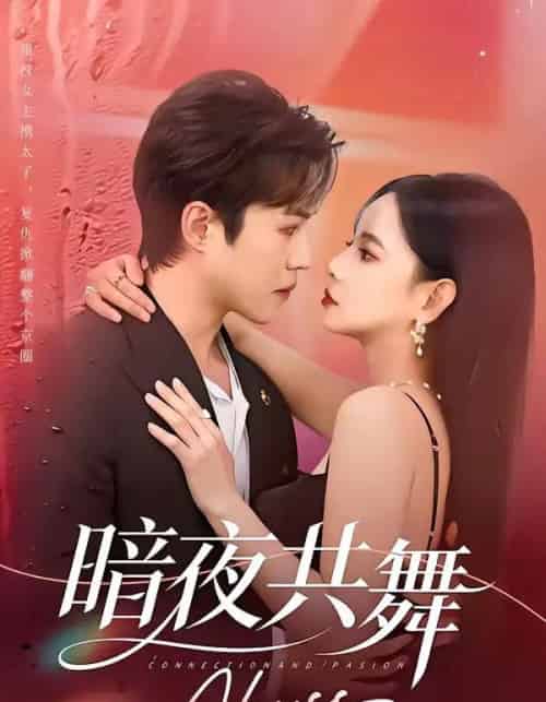 暗夜共舞（80集全）潘思雅＆潇然-初遇资源网