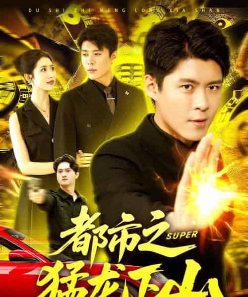 都市之猛龙下山 （100集）-初遇资源网