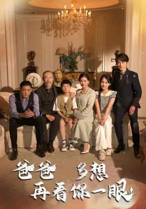 爸爸多想再看你一眼(73集全)林元纬&魏莱-初遇资源网