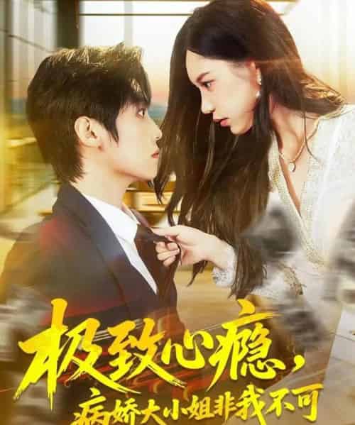 极致心瘾，病娇大小姐非我不可（80集全）傅宇航＆姜一朵-初遇资源网