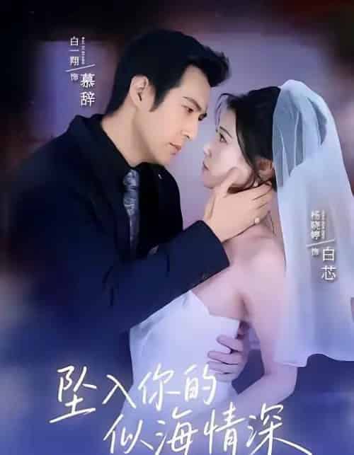 坠入你的似海情深（67集全）白一翔＆杨晓婷-初遇资源网