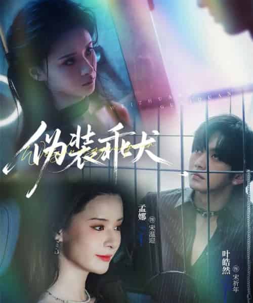 伪装乖犬(56集全)叶皓然&孟娜-初遇资源网