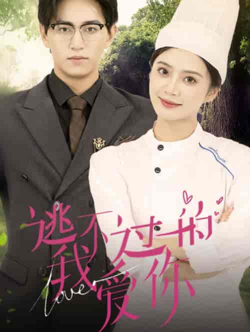 逃不过的我爱你（64集全）刘美娜-初遇资源网