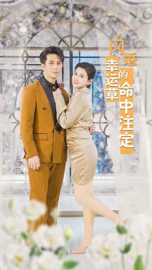 闪婚幸运草的命中注定(82集)-初遇资源网