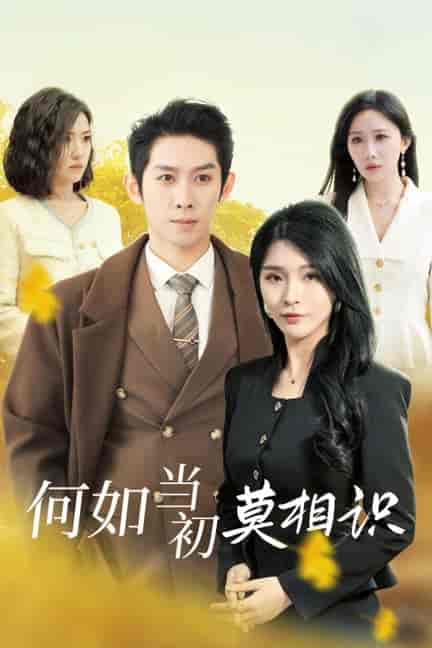 何如当初莫相识(36集全)彭羽-初遇资源网