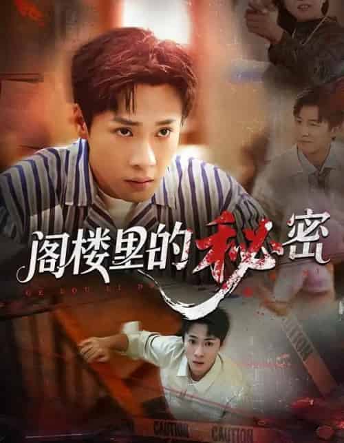 阁楼里的秘密（76集全）黄佳俊＆靳坤＆吴胤皓-初遇资源网