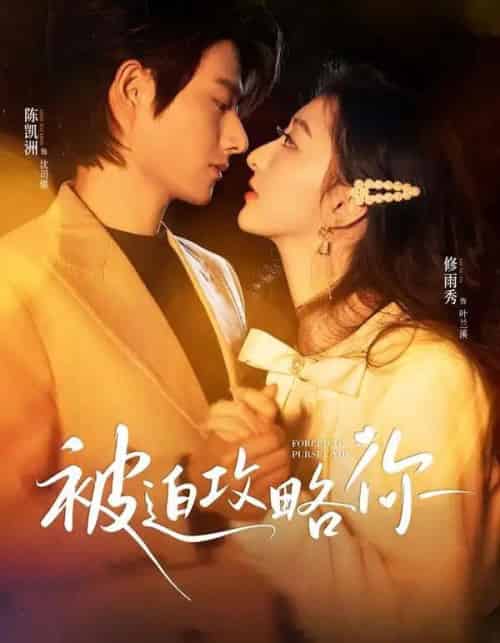 被迫攻略你（57集全）陈凯洲＆修雨秀-初遇资源网