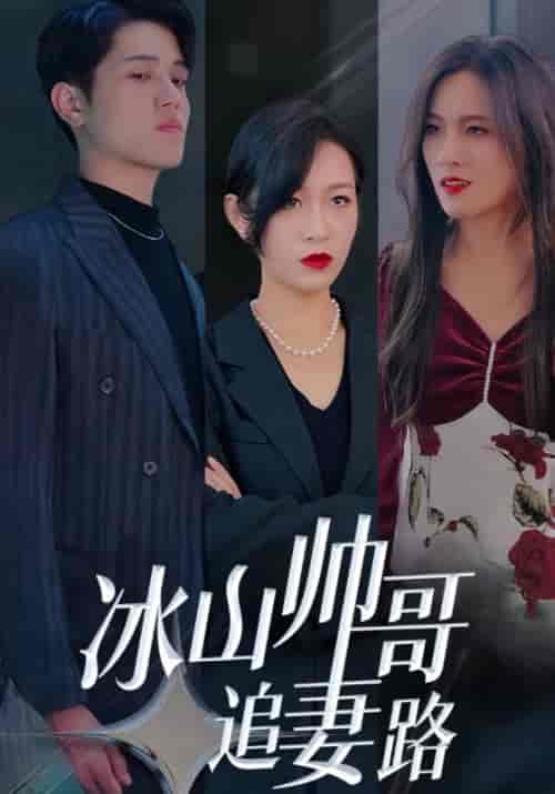 冰山帅哥追妻路（100集全）冷夜＆顾清欢-初遇资源网