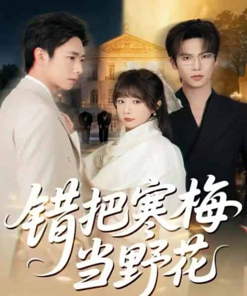 错把寒梅当野花(60集全)于颢鑫&王籽霖-初遇资源网