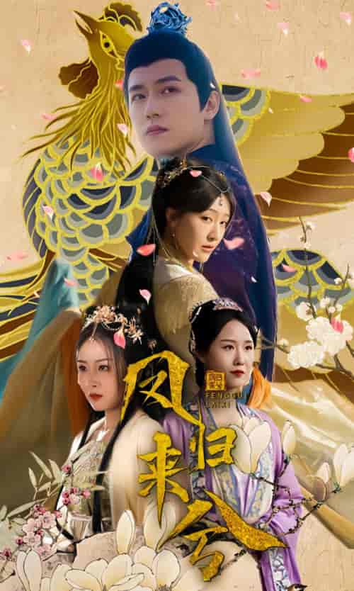 凤归来兮（100集）-初遇资源网