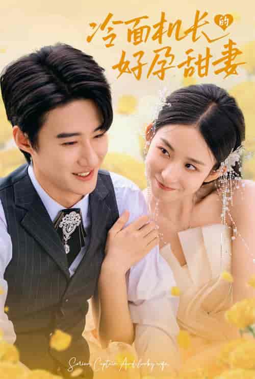 冷面机长的好孕甜妻(78集全)赵振栋&李悦暄-初遇资源网
