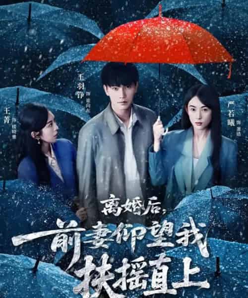 离婚后,前妻仰望我扶摇直上(84集全)王羽铮&严若曦-初遇资源网
