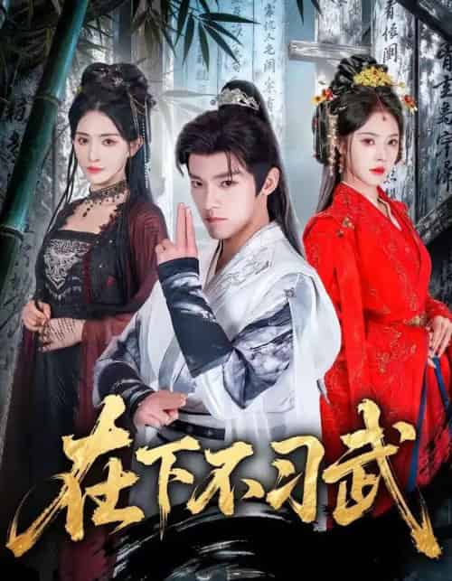 在下不习武（60集全）王珞嘉＆苏西-初遇资源网