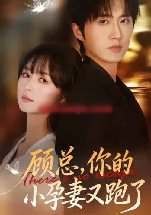 顾总,你的小孕妻又跑了(47集全)马薇&顾天逸-初遇资源网