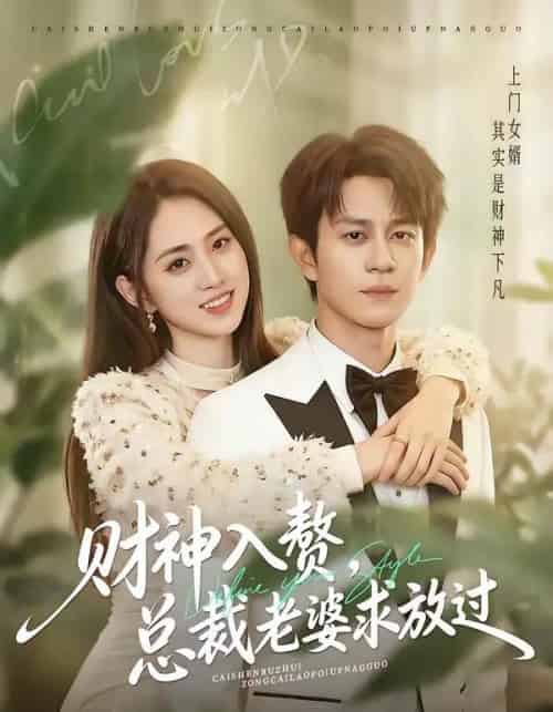 财神入赘，总裁老婆求放过（60集全）董劭辉＆李晓雨-初遇资源网